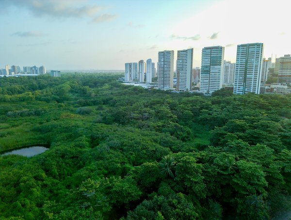 Découvrez pascal montembault : le magicien incontournable à paris